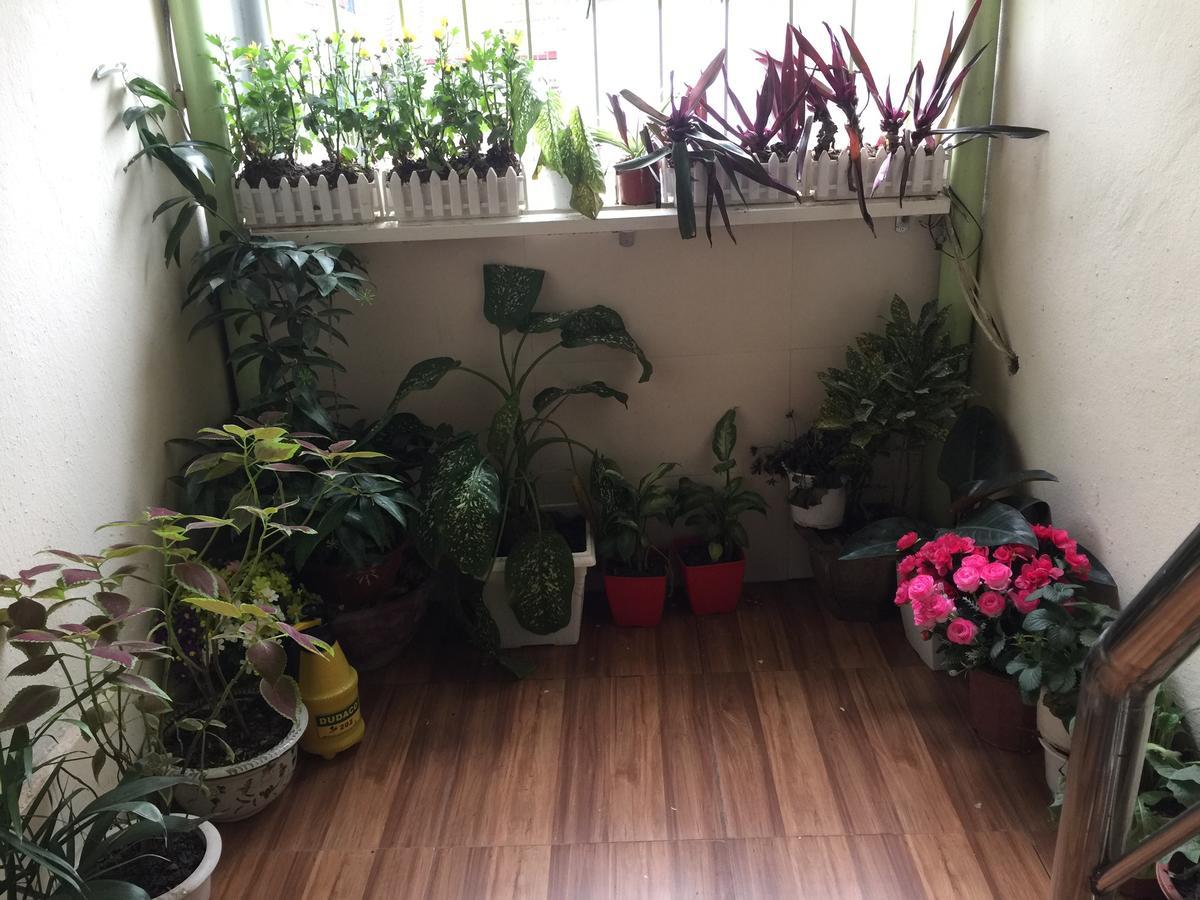 Cozy Homestay ハノイ市 エクステリア 写真
